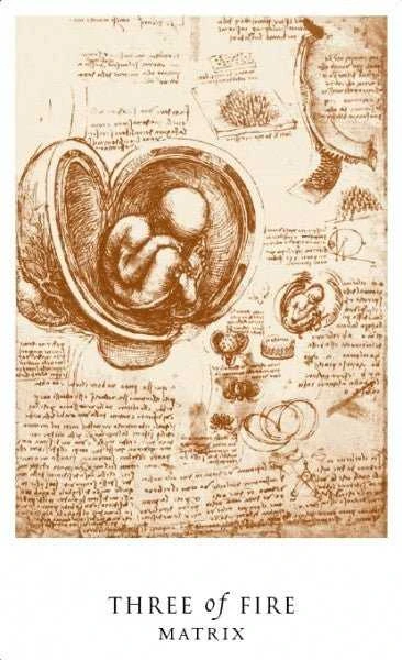 Schiffer Publishing The Da Vinci Enigma Tarot Kortos Ir Knyga