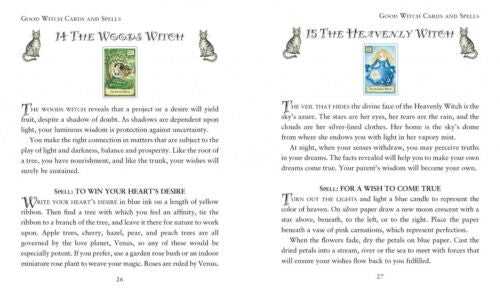 KNYGA Schiffer Publishing The Modern Wiccan Box Of Spells Cards Burtų Kortos