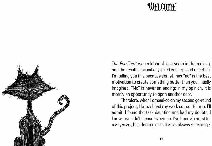 KNYGA Schiffer Publishing The Poe Taro Kortos