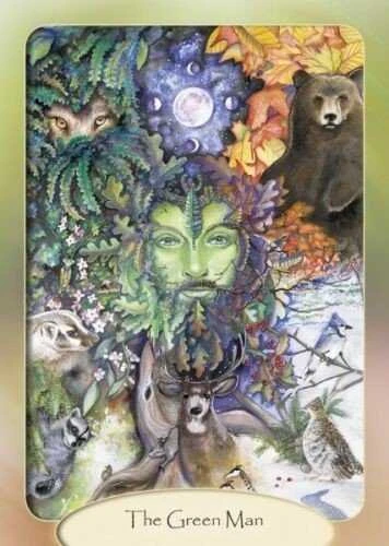 Schiffer Publishing The Stone Circle Oracle Kortos