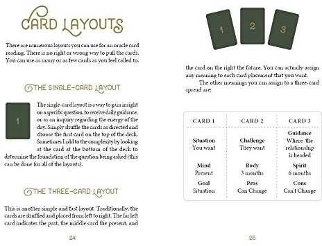 KNYGA Schiffer Publishing The Wild Elemental Oracle Kortos