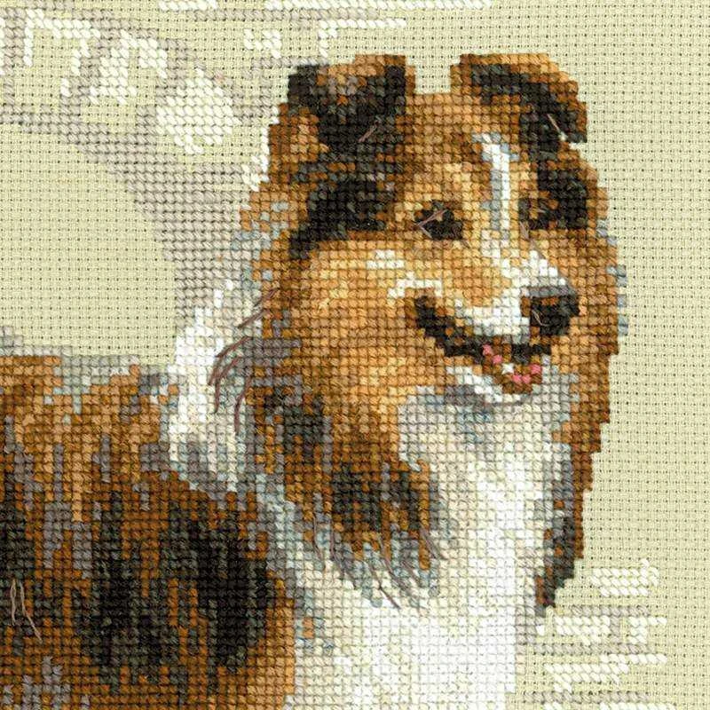 Sheltie siuvinėjimo rinkinys iš RIOLIS Nr.: 1710