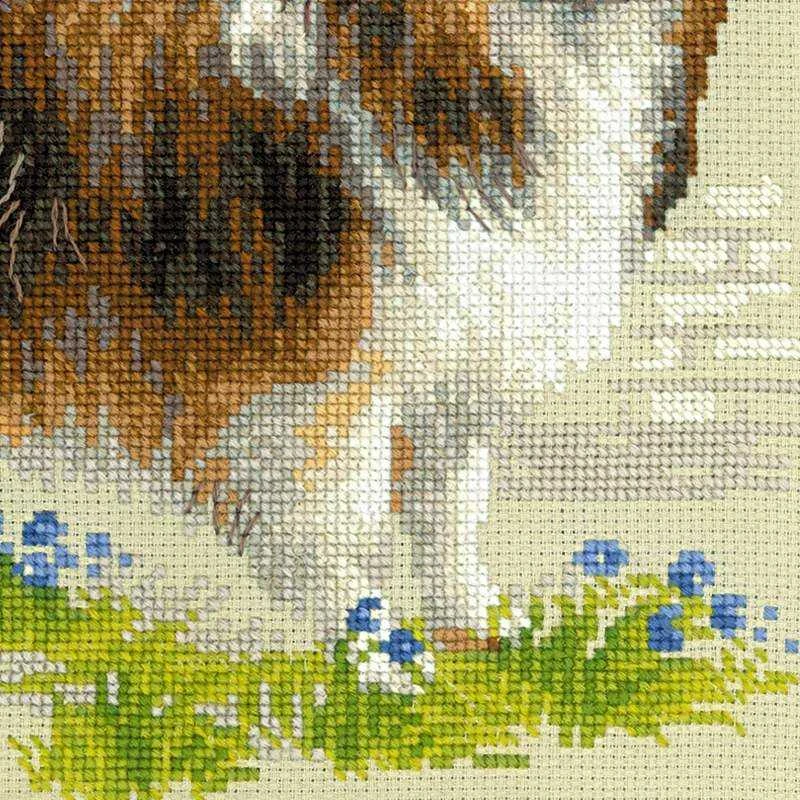 Sheltie siuvinėjimo rinkinys iš RIOLIS Nr.: 1710