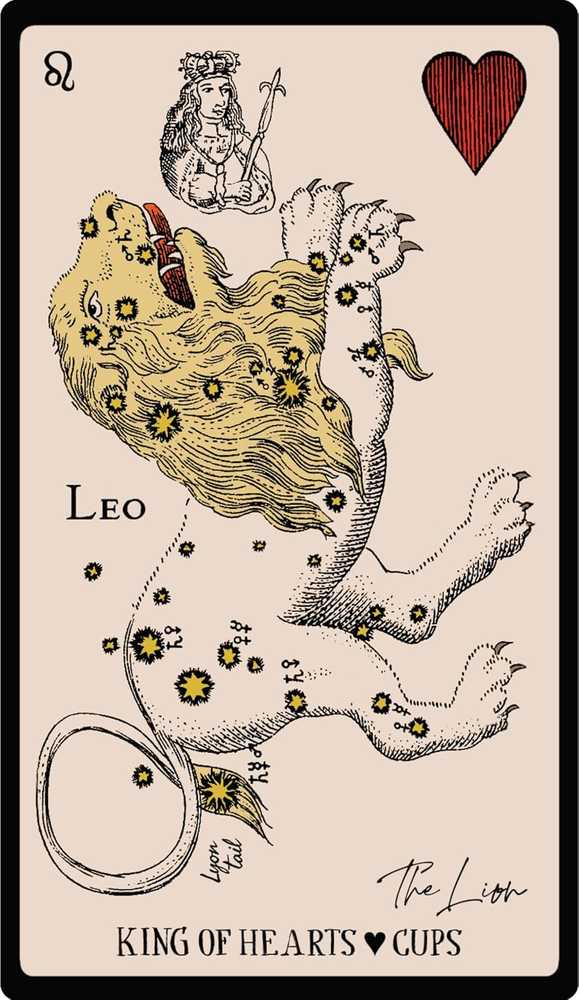 Weiser Books Tarot Kortų Rinkinys - Starlore Arcana 56 Kortos su Instrukciniu Knyga 13.4 x 18.9 cm