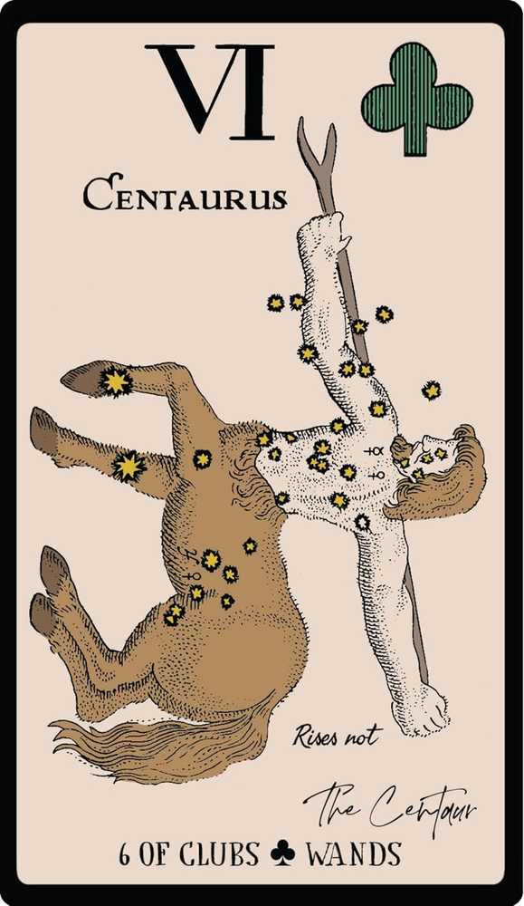 Weiser Books Tarot Kortų Rinkinys - Starlore Arcana 56 Kortos su Instrukciniu Knyga 13.4 x 18.9 cm