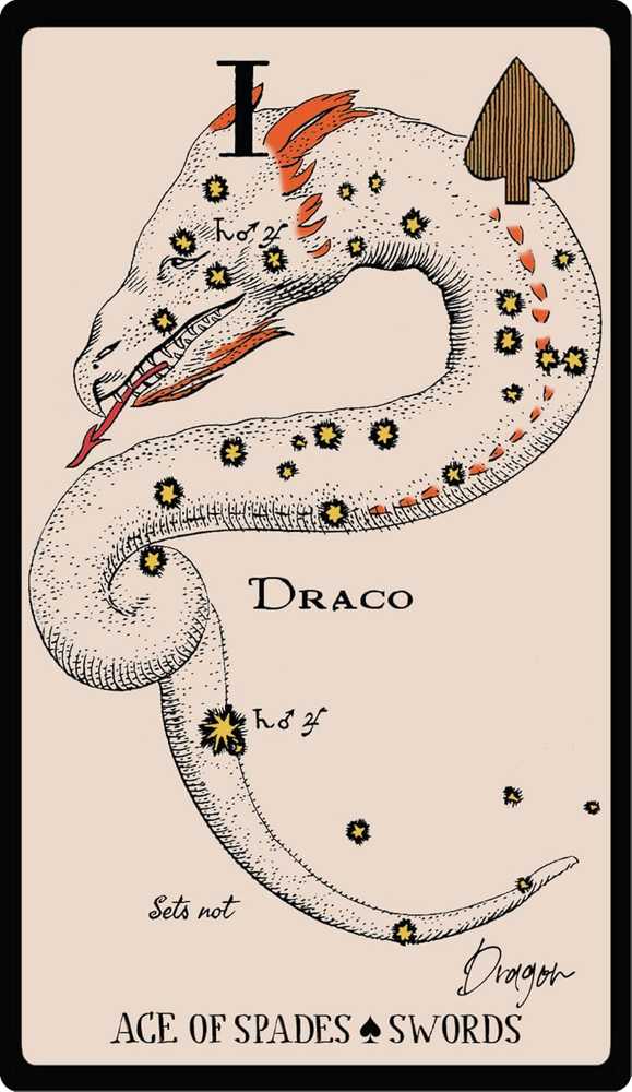 Weiser Books Tarot Kortų Rinkinys - Starlore Arcana 56 Kortos su Instrukciniu Knyga 13.4 x 18.9 cm
