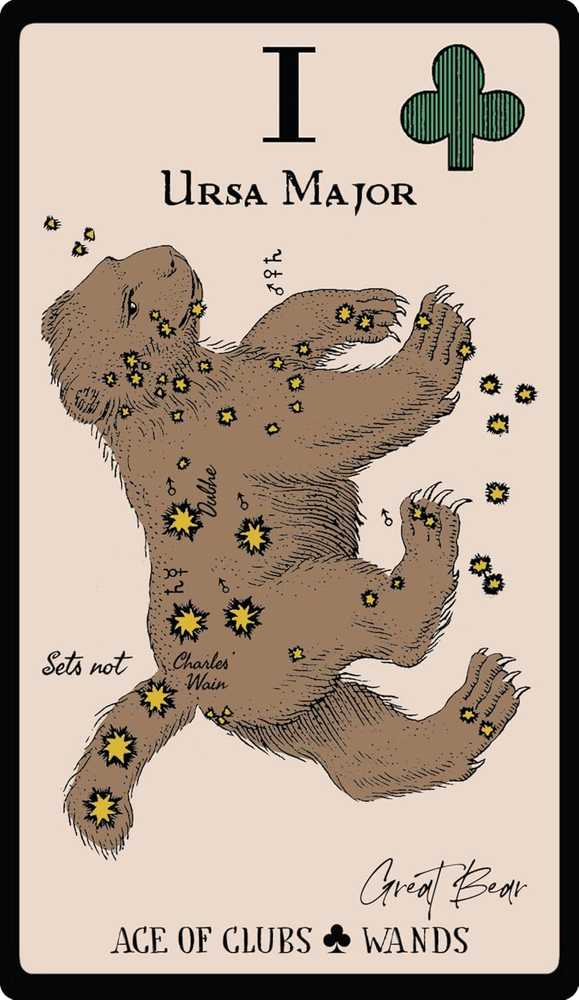 Weiser Books Tarot Kortų Rinkinys - Starlore Arcana 56 Kortos su Instrukciniu Knyga 13.4 x 18.9 cm