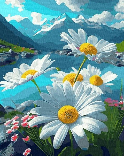 SuperColor Tapyba Pagal Skaičius: „Kalnų ramunėlės“ 40x50 cm