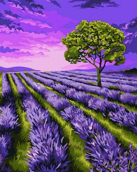 SuperColor Tapyba Pagal Skaičius: „Levandų laukas“ 40x50 cm