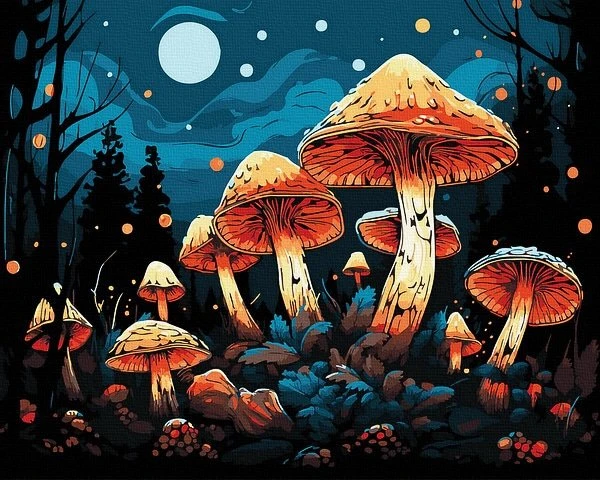 SuperColor Tapyba Pagal Skaičius: „Mistiniai grybai“ 40x50 cm
