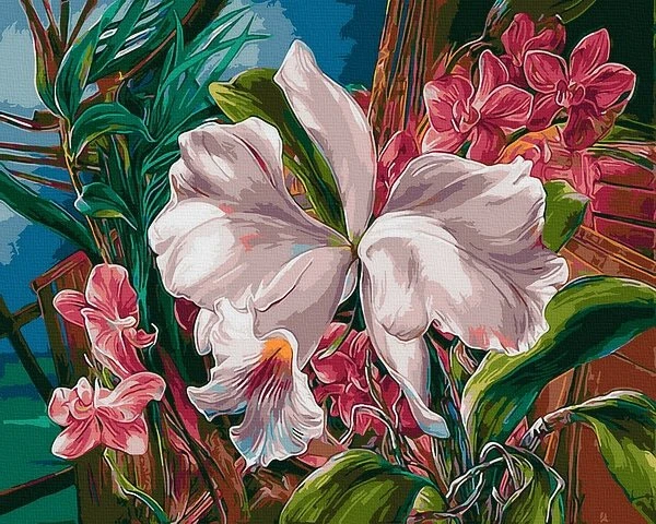 SuperColor Tapyba Pagal Skaičius: „Tropinės orchidėjos“ 40x50 cm