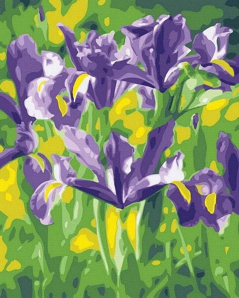 SuperColor Tapyba Pagal Skaičius: „Violetiniai vilkdalgiai“ 40x50 cm