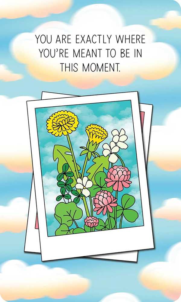 KNYGA Taro Kortos Take What You Need Affirmation Andrews Mcmeel Publishing