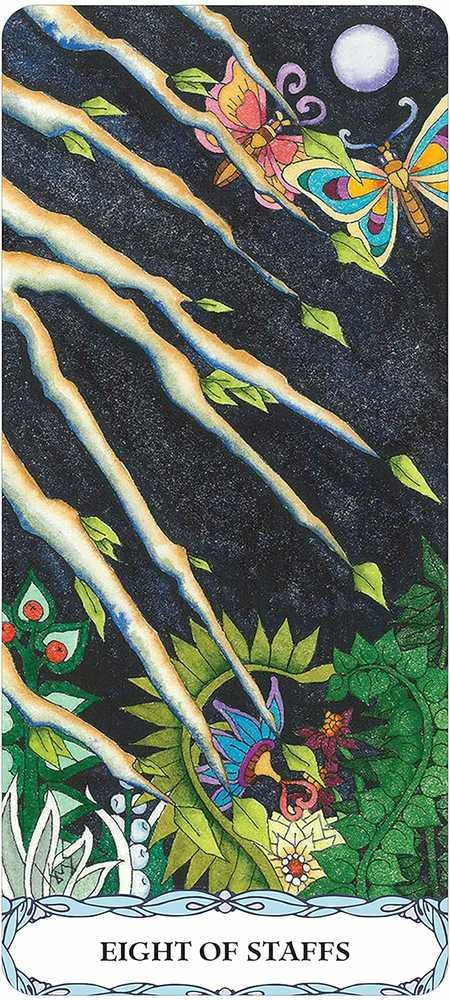 US Games Systems Tarot Of A Moon Garden Borderless Kortos
