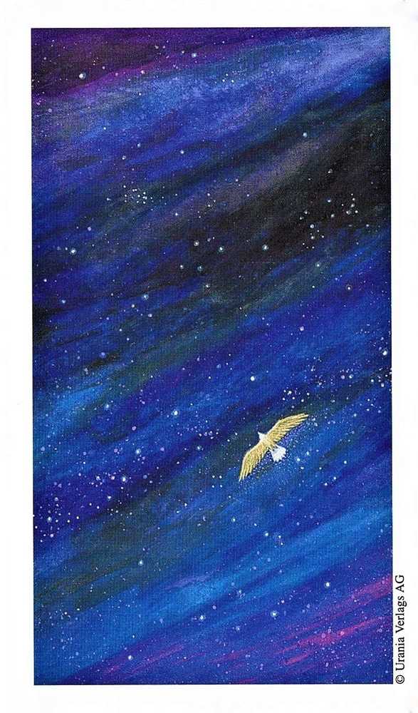 AGM Taro kortų rinkinys - Vision Quest Tarot 78 Kortos 7.5x12.5 cm 278 g