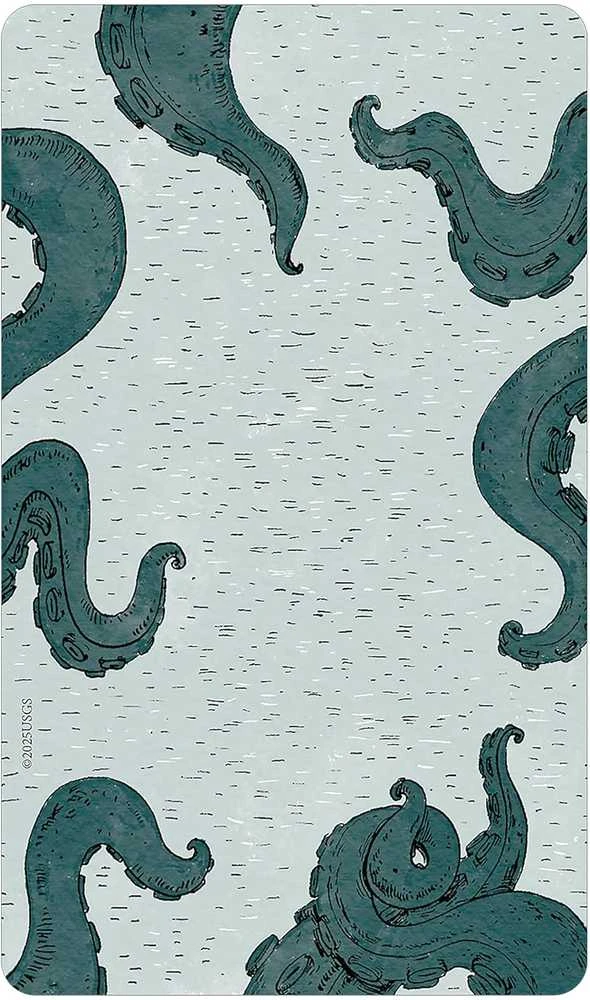Us Games Systems Taro kortų rinkinys - Tempest Tarot Deck 78 Kortos ir 72 Puslapių Gidas, 12.5x7.5x3.5 cm