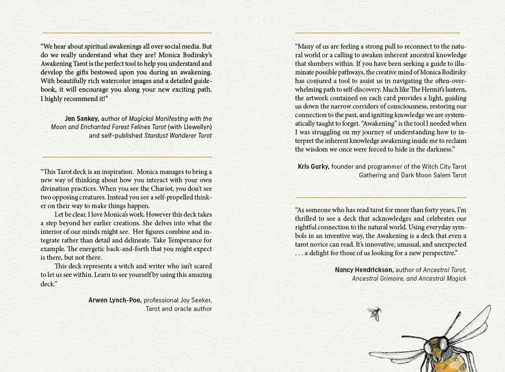 Schiffer Publishing The Awakening Tarot : An Elemental Approach Taro Kortos