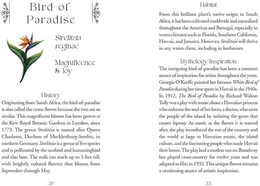 Schiffer Publishing Orakulo kortų rinkinys - The Flowerwise Oracle 44 Kortos su Gidu