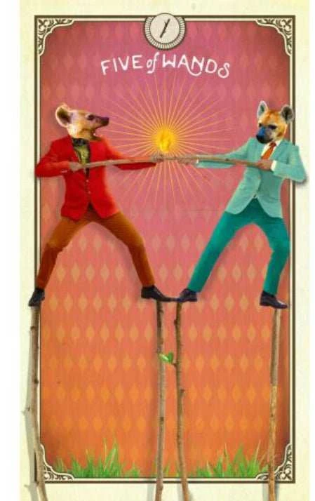 Taro Kortos Hay House The Tarot Of Curious Creatures