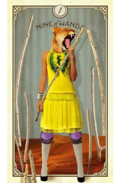 Taro Kortos Hay House The Tarot Of Curious Creatures
