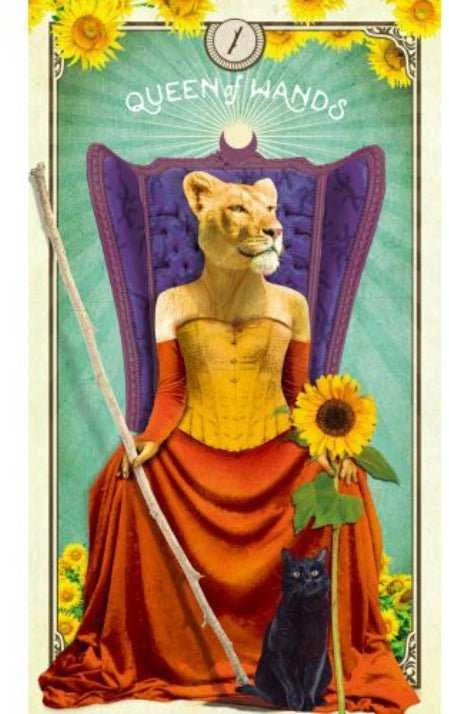 Taro Kortos Hay House The Tarot Of Curious Creatures