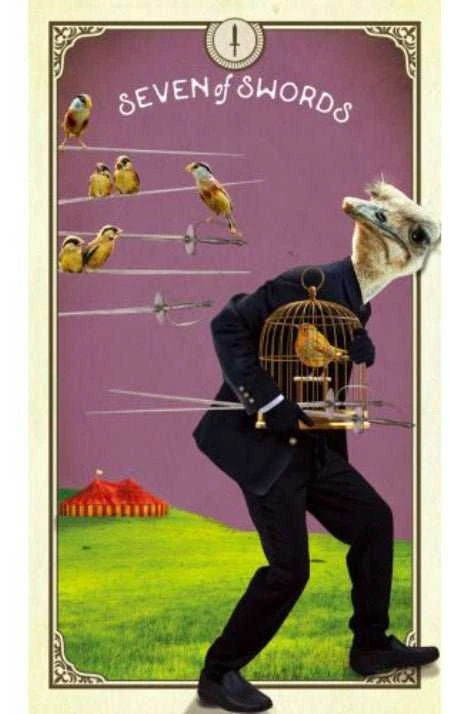 Taro Kortos Hay House The Tarot Of Curious Creatures