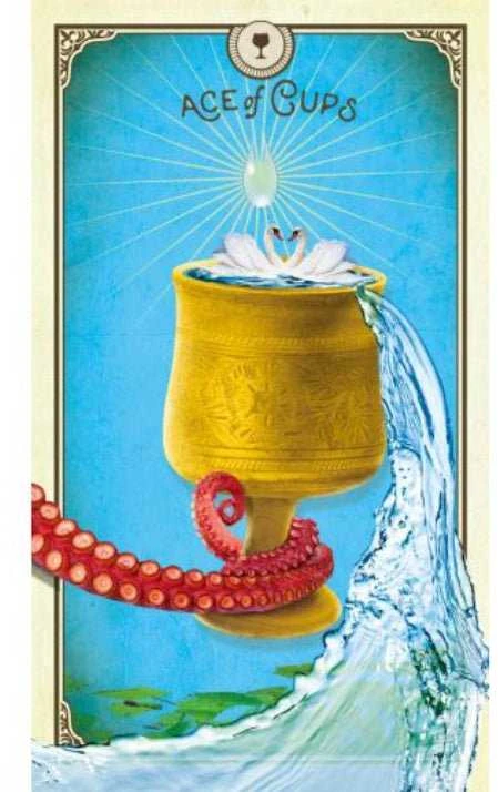Taro Kortos Hay House The Tarot Of Curious Creatures