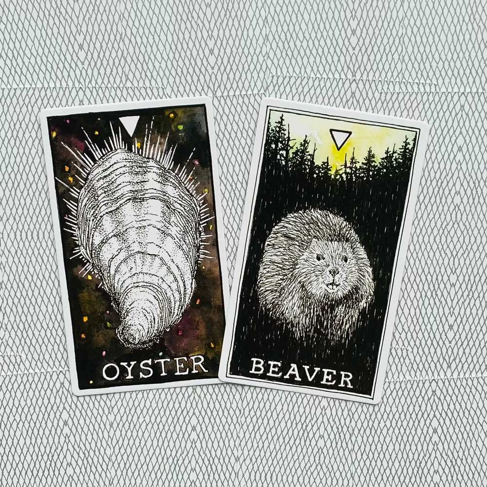 Harper One The Wild Unknown Animal Spirit Oracle Kortų Ir Knygos Rinkinys