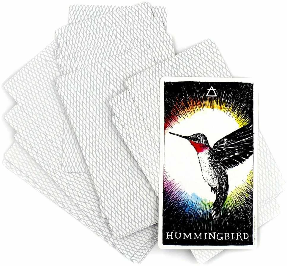 Harper One The Wild Unknown Animal Spirit Oracle Kortų Ir Knygos Rinkinys