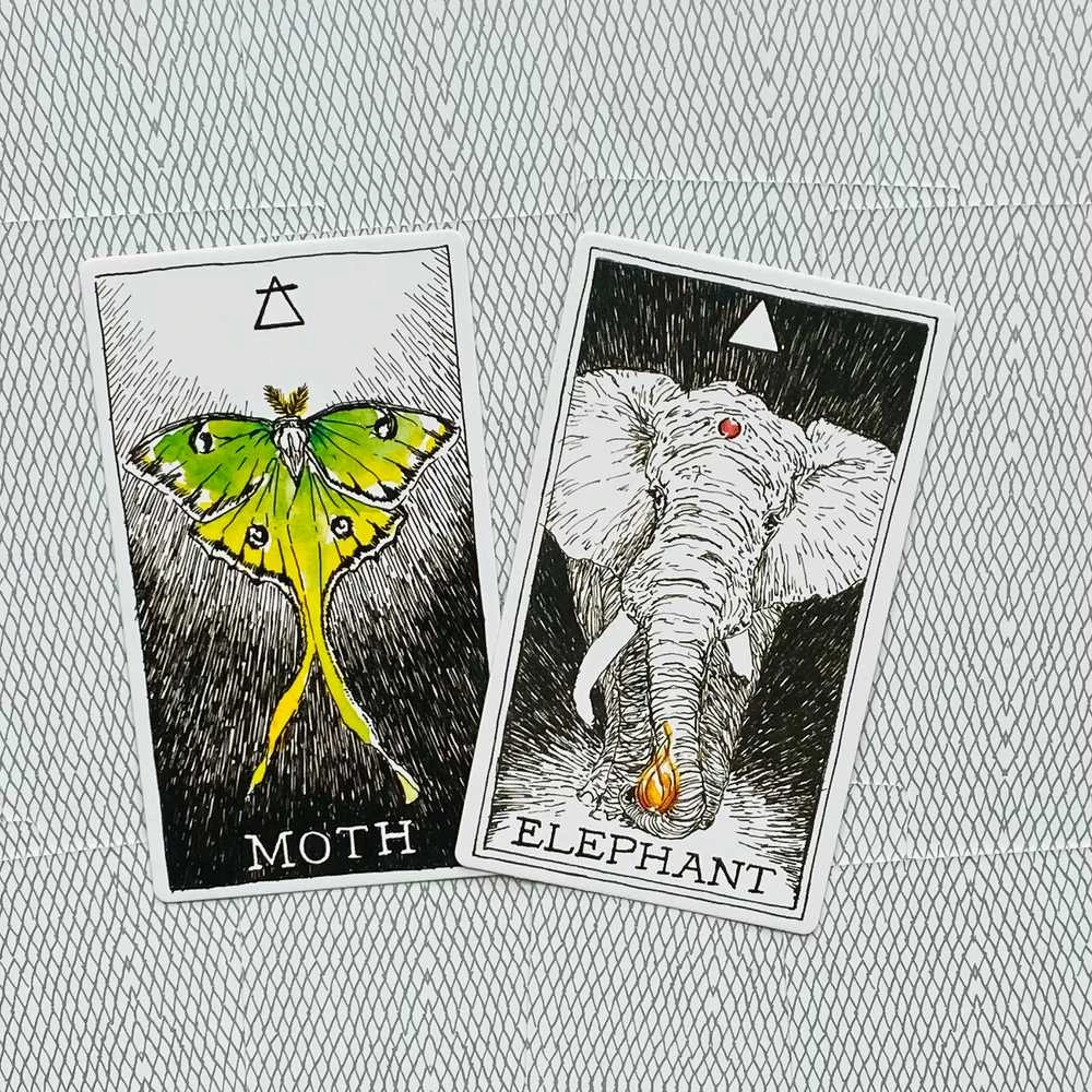 Harper One The Wild Unknown Animal Spirit Oracle Kortų Ir Knygos Rinkinys