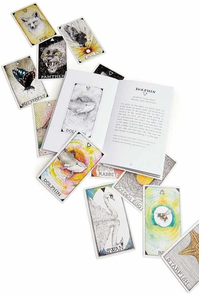 Harper One The Wild Unknown Animal Spirit Oracle Kortų Ir Knygos Rinkinys