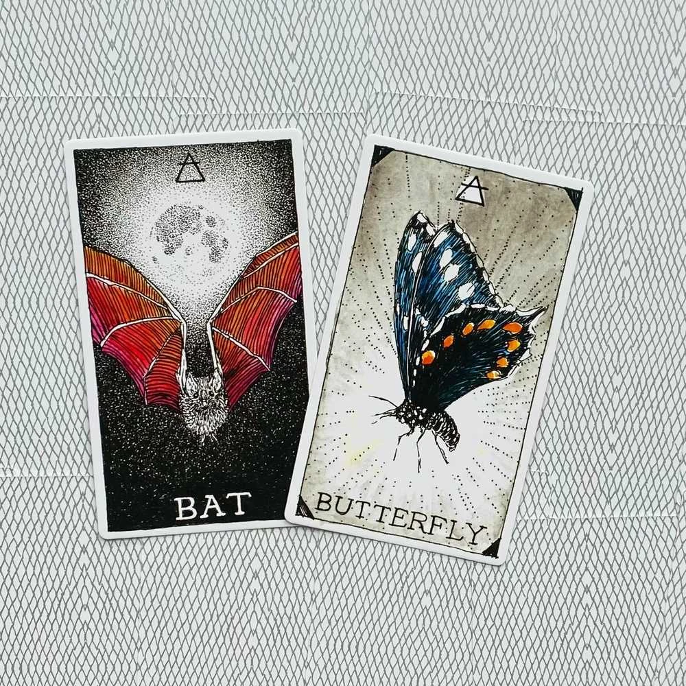 Harper One The Wild Unknown Animal Spirit Oracle Kortų Ir Knygos Rinkinys