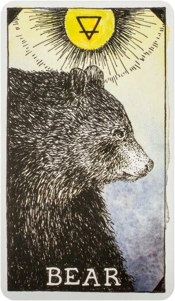 Harper One The Wild Unknown Animal Spirit Oracle Kortų Ir Knygos Rinkinys