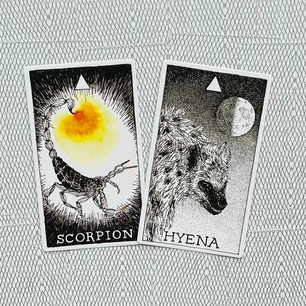 Harper One The Wild Unknown Animal Spirit Oracle Kortų Ir Knygos Rinkinys
