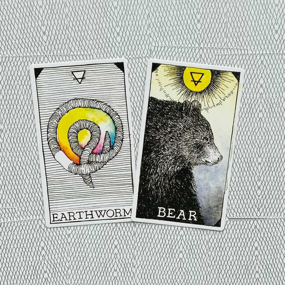 Harper One The Wild Unknown Animal Spirit Oracle Kortų Ir Knygos Rinkinys
