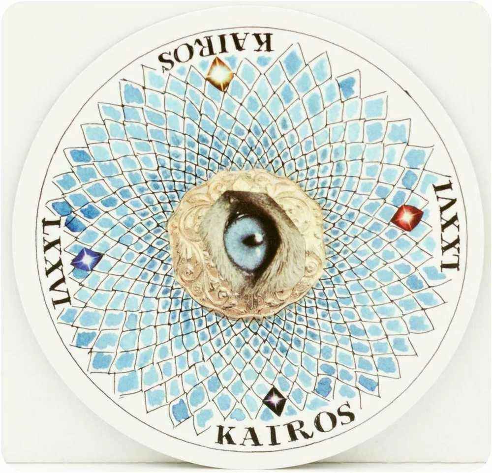 Orakulo Kortų Ir Knygos Rinkinys The Wild Unknown Archetypes Harper One