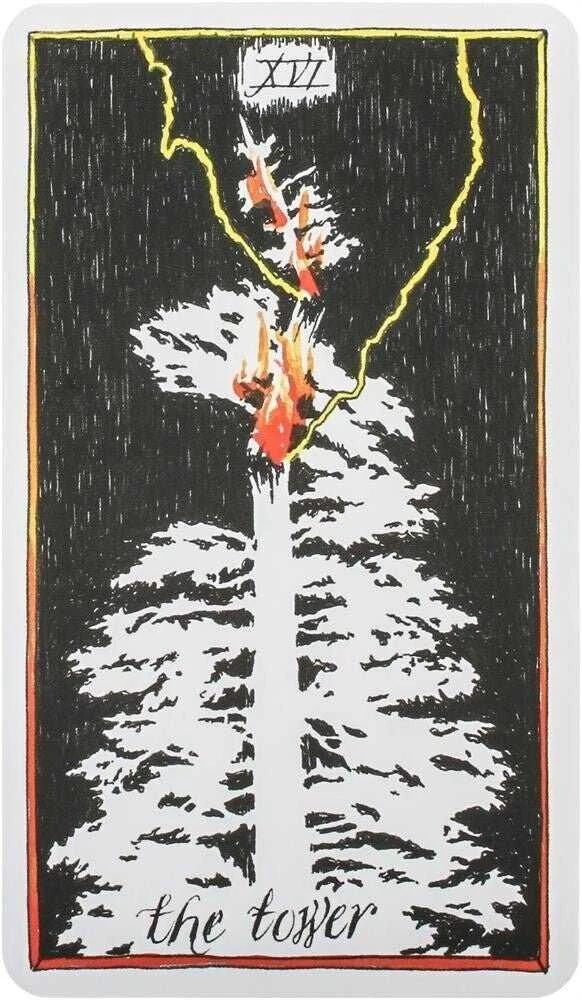 Taro kortos The Wild Unknown Pocket Harper One