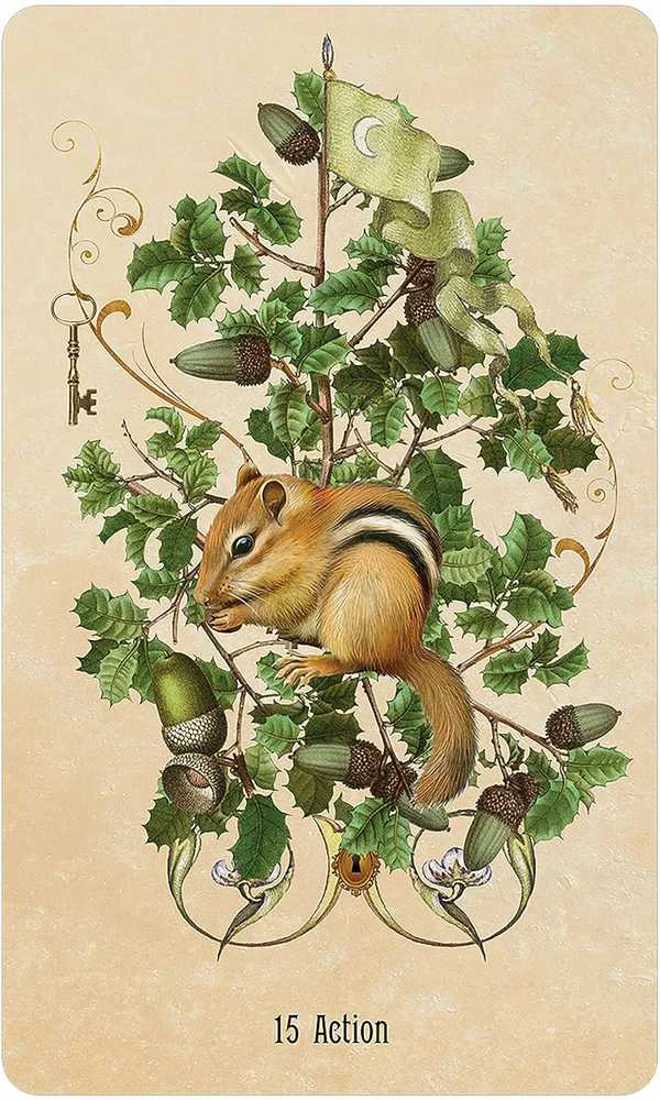 US Games Systems Unlocking The Secret Garden Oracle Kortos