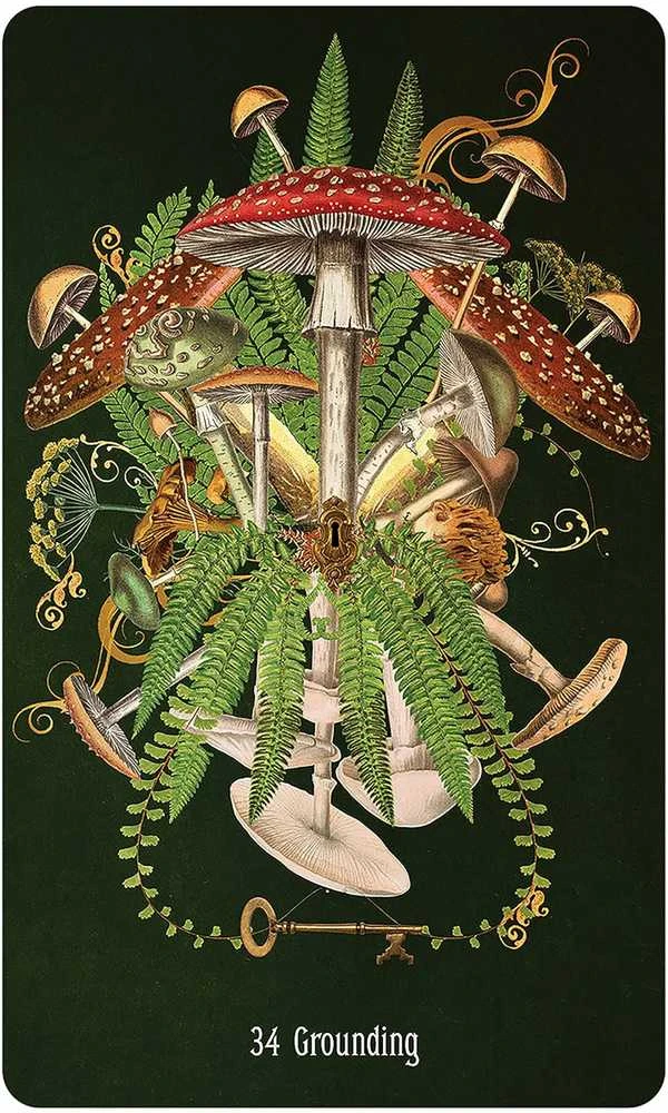 US Games Systems Unlocking The Secret Garden Oracle Kortos