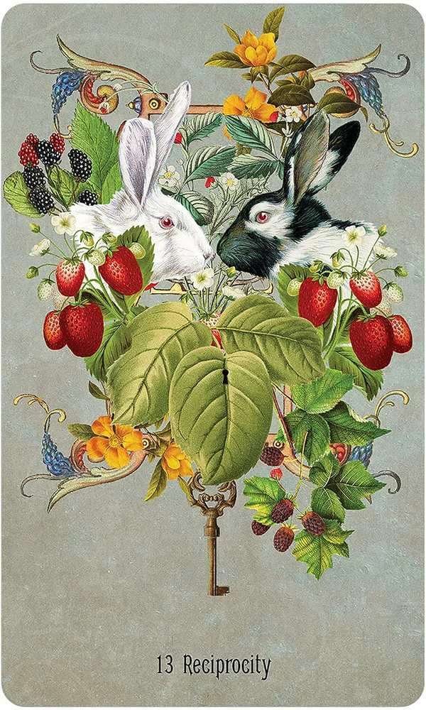 US Games Systems Unlocking The Secret Garden Oracle Kortos