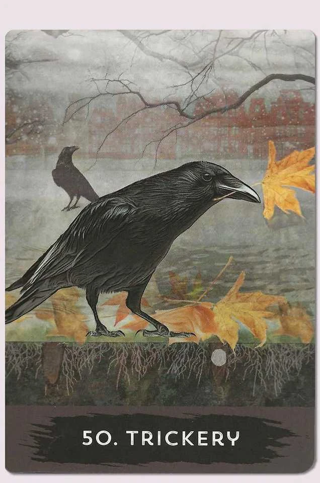 Hay House Urban Crow Oracle Kortos