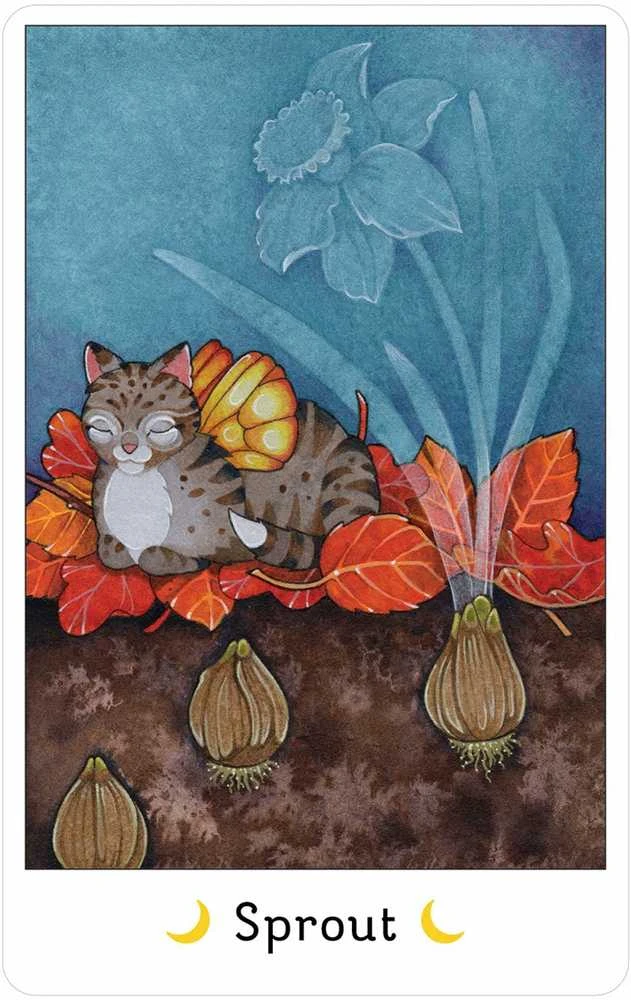 US Games Systems Affirmations of the Fairy Cats kortos
