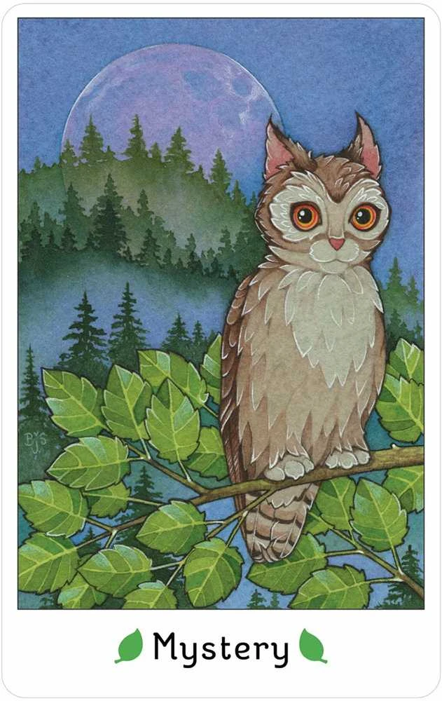 US Games Systems Affirmations of the Fairy Cats kortos