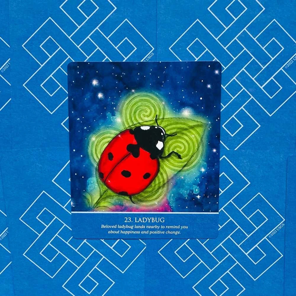 US Games Systems Auspicious Symbols Oracle Kortos