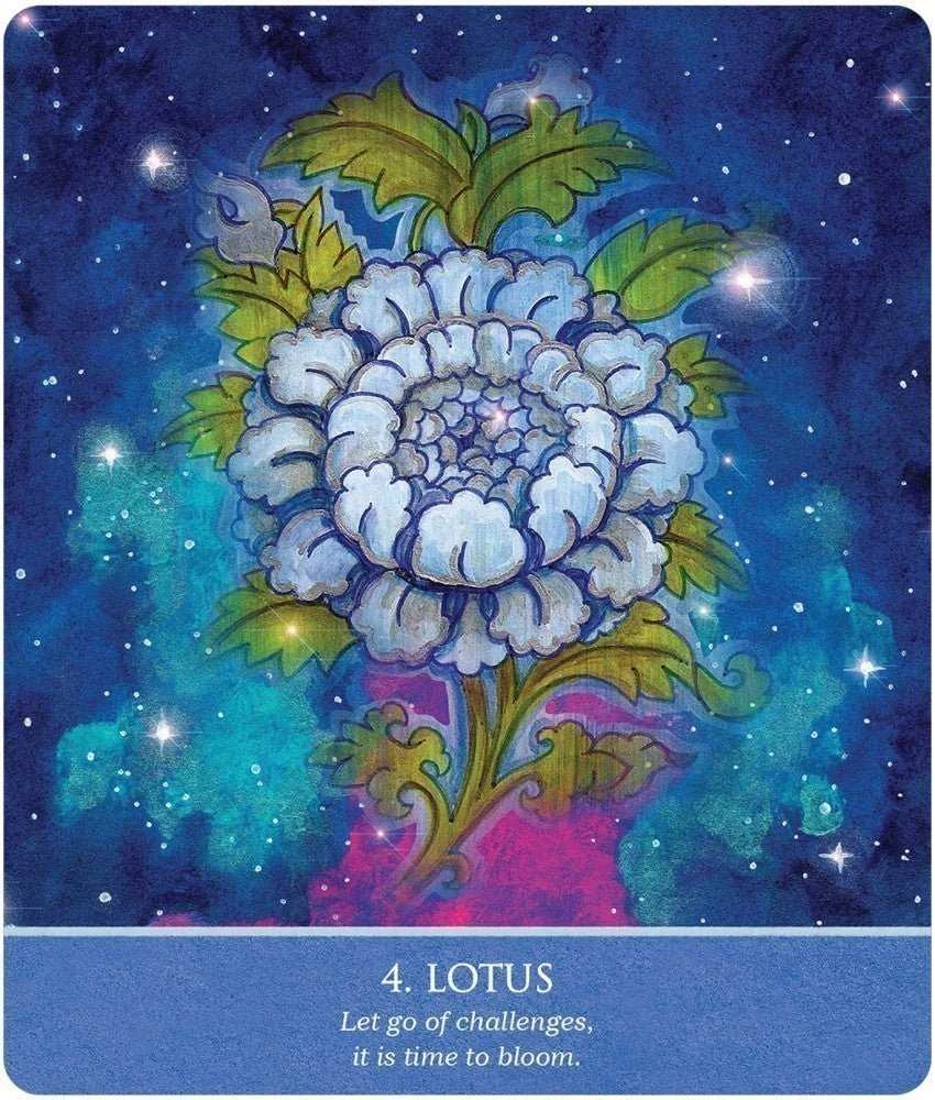 US Games Systems Auspicious Symbols Oracle Kortos