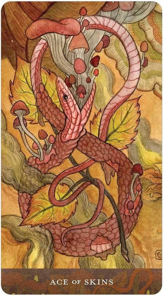 Us Games Systems Blood Moon Tarot prabangi taro kaladė su knyga, 78 akvarelės kortos