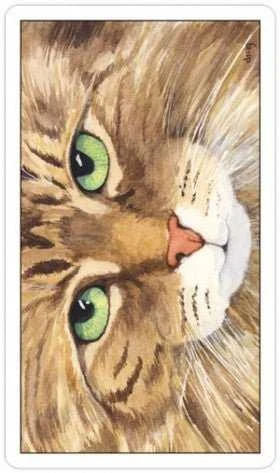 US Games Systems Cats Eye Taro Kortos