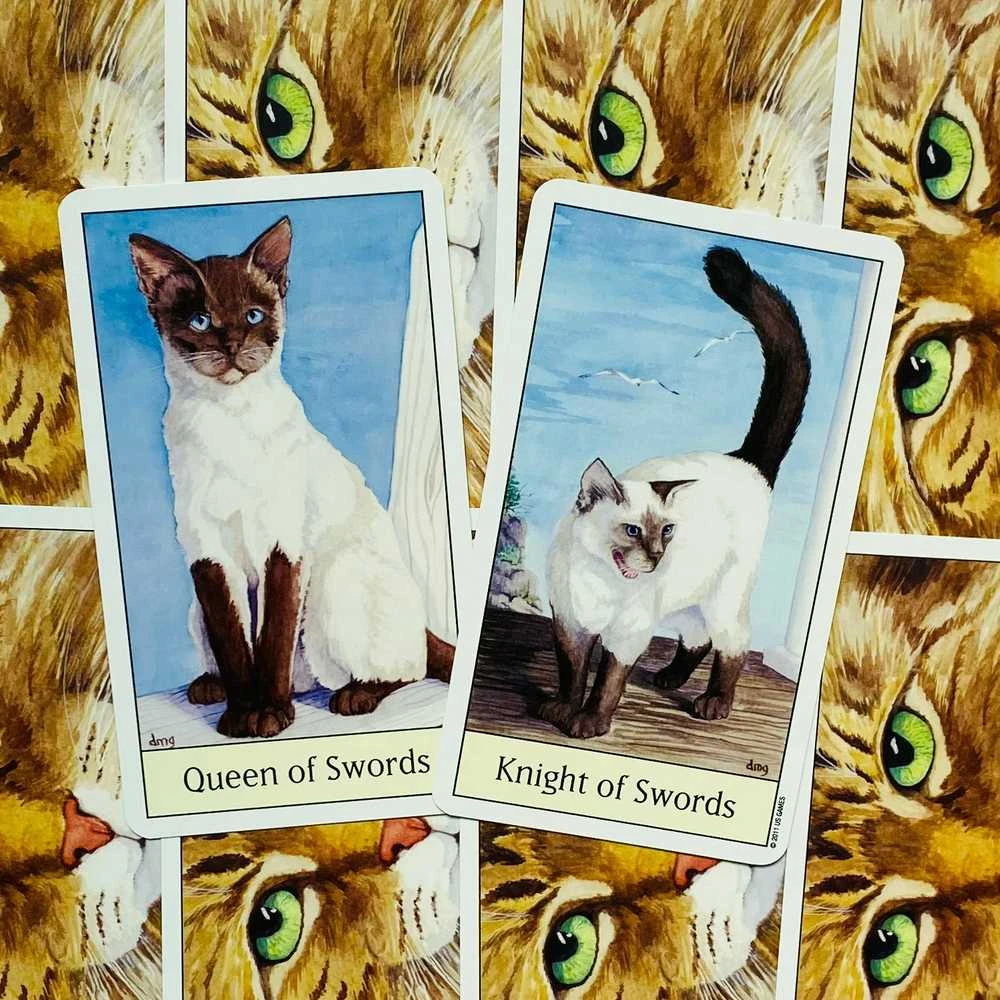 US Games Systems Cats Eye Taro Kortos