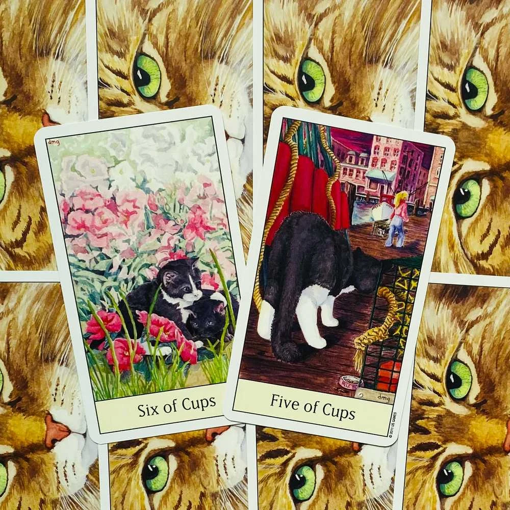 US Games Systems Cats Eye Taro Kortos