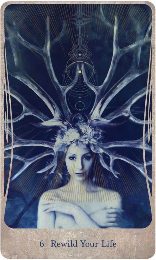 US Games Systems Divine Nature Oracle Kortų Ir Knygos Rinkinys